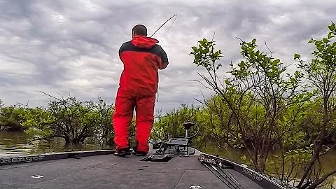 Steve Floyd Flipping Bushes on Kentucky Lake