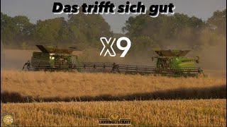 Das trifft sich gut 2x  X9  1100 & 8900 Lexion Rapsernte an der Ostsee Großeinsatz Raps dreschen