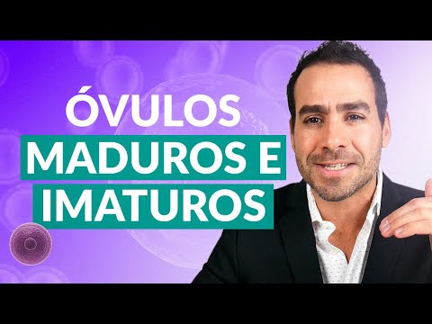 Vídeo: Você pode obter óvulos fertilizados e não fertilizados?