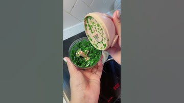 Cháo cá rô phi cho bé ăn dặm ngon béo không bị tanh #chuyennhacuagao #mebimsua #cooking #andam