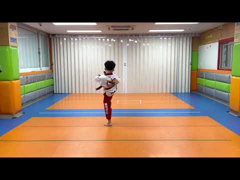 2021서울컵온라인대회 큰별태권도 나일우 2013, 태극5장