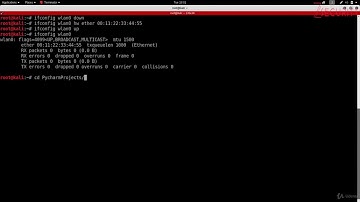 010 Пишем очень простую программу для смены Mac-адреса