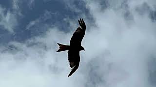 Dag 1 Gravelen Van Achen Naar Manderscheid