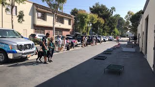 Group Class Obedience Test at Epic Dog Pros Facility in Irvine