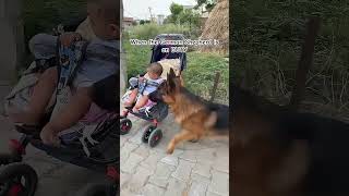 Httpsyoutubecomshortsdfdqvrhaabksinj8pebxkhawuraqc