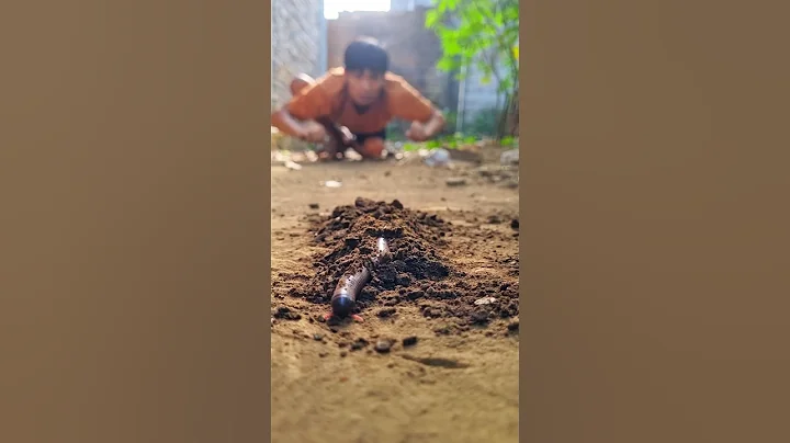 Watching a millipede camouflage, this man ran in fear #shortvideo #millipede
