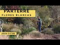 Parterre de flores blancas en otoño - Decogarden - Jardinatis