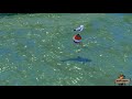 Middle of video