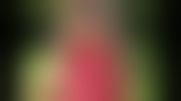 Visual Argument Video