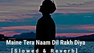 Maine Tera Naam Dil Rakh Diya💔🥀😞Slowed & Reverb ।। Love lofi song । Hindi lofi