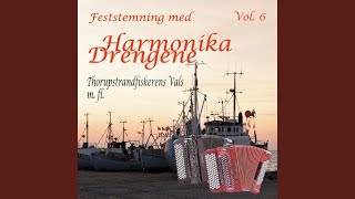 Video thumbnail of "Harmonika Drengene - De Nære Ting"