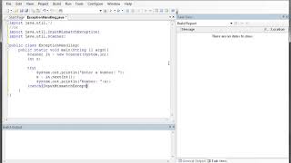 Famous Exception Handling  -  Input Mismatch Exception Net Worth
