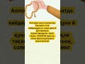 ҚИЁМАТДА ОТА-ОНАСИГА ТОЖ КИЙДИРАДИГАН ФАРЗАНД#ibrat#rek#news#hikmat#fup#uzb#shorts