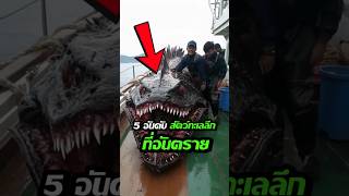 5 อันดับสัตว์ทะเลลึกสุดโหด! 😱🌊 screenshot 1