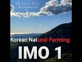 How to knf  korean natural farming and its organic inputs    imo 1 pt 1