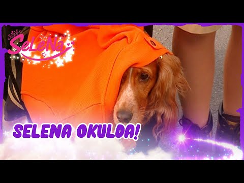 Köpek olan Selena okula giderse | Selena 16. Bölüm Sahneleri ✨