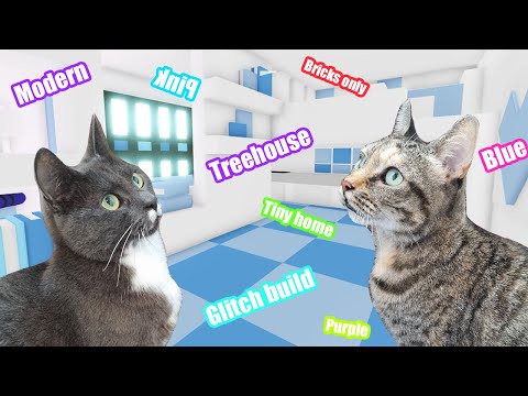 My REAL CATS