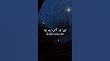 واستعينوا بالصبر والصلاة | القارئ عبدالرحمن مسعد 🤍