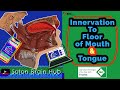 Innervation to Floor of Mouth Muscles and Tongue