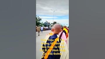 Triệu Triệu Trái Tim Hướng Về Đảnh Lễ Tăng Đoàn Sư Minh Tuệ l Sinh Tồn Tây Nguyên.