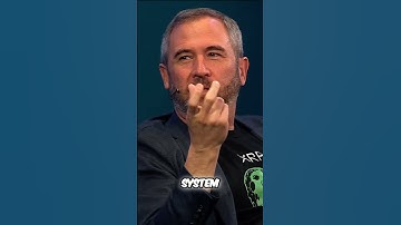 David Schwartz & Brad Garlinghouse on Blockchains Future