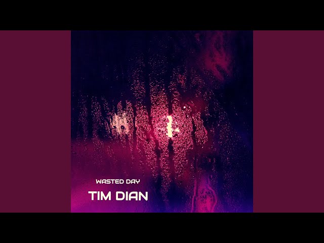 Tim Dian - Wasted Day