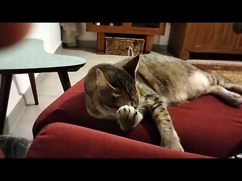 He's name Avrel Lee he resting for a while in we go upstairs