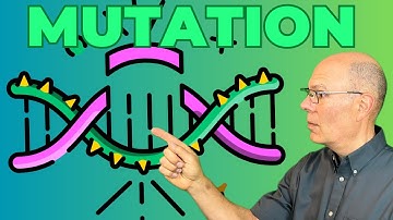 Mutations Explained! Learn about Substitutions, Deletions and Insertions
