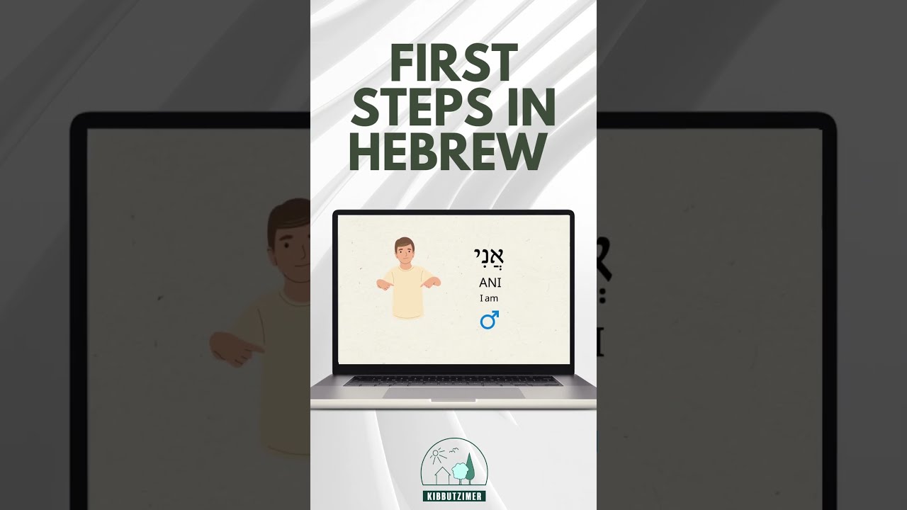 The New Digital Program For Beginners