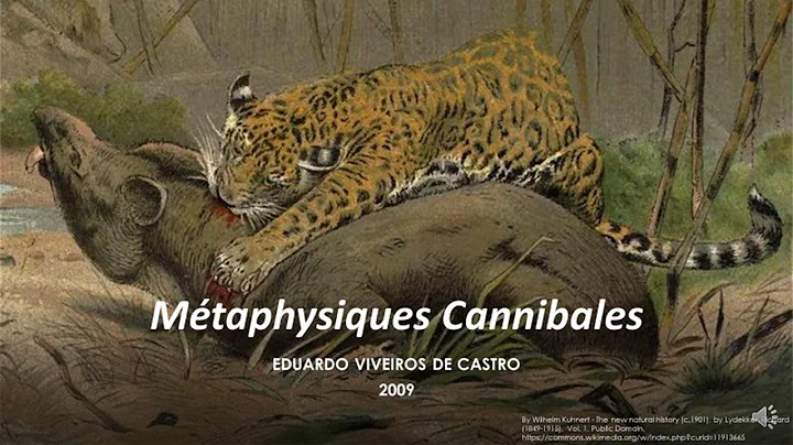 Eduardo Viveiros de Castro, Mtaphysiques Cannibales