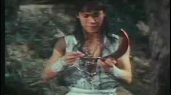 Chinese Super Ninjas - Wood Ninjas Chinese Super Ninjas - Wood Ninjas