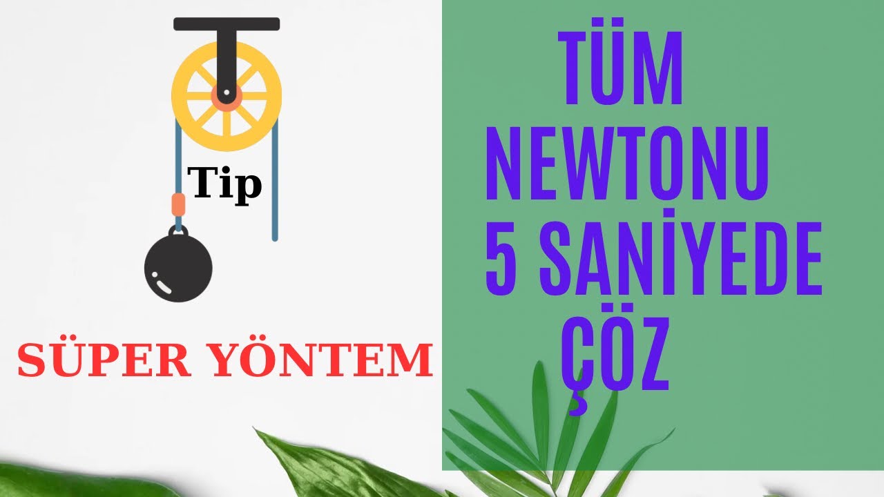 Newton Tüm İp gerilimini oran orantı ile çöz | 