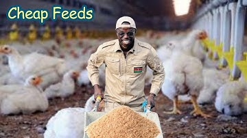 How I Solve Feed Problems On My Farm