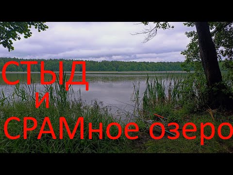 СТЫД и СРАМное озеро. 20.06.2024. г. Белоозерский.