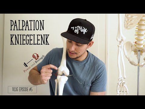 Palpation Kniegelenk