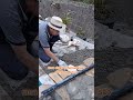 meu trabalho sempre progredindo