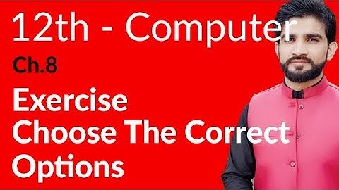 ICs Computer Part 2, Ch 8 - Choose the Correct  Options Ch 8 - 12th Class Computer