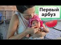 VLOG: Марта пробует арбуз / Послание в прошлое