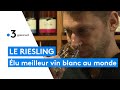 Basrhin  le meilleur vin blanc au monde est un riesling