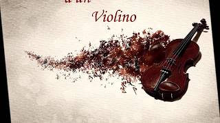 L'eco d'un Violino ©