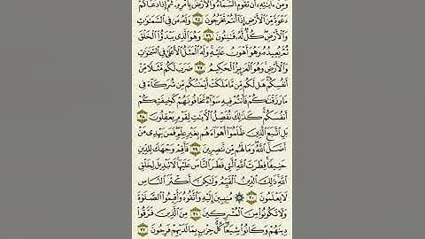 سورة الروم من الآية ٢٥ إلى الآية ٣٢بصوت القارئ ماهر المعيقلي