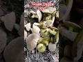 Грибы Маховики Нашли Отличную Поляну. Тихая Охота.10.08.2025. #4k #video #лето #лес #маховики