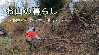 【お山の暮らし  019 】60代シニア夫婦で丸ごと山を刈ってみた　倒木処理と山の木々の伐採 剪定