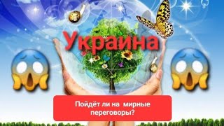 Украина придёт ли к мирным переговорам?