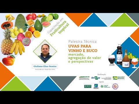 Capacitação em Fruticultura - UVAS PARA VINHO E SUCO