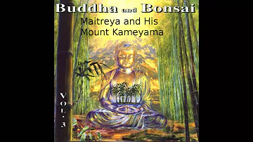 Oliver Shanti - Buddha and Bonsai