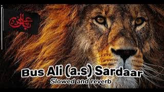 Bus Ali (a.s) Sardaar (slowed and reverb)