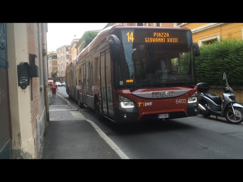 bolognese road trip bus