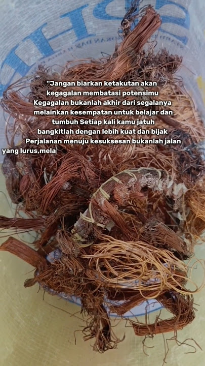 motivasi#4 #motivasi #motivasidiri #motivasihidup