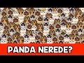 Panda Nerede? - 5 Saniyen Var - Resimli Dikkat Testi